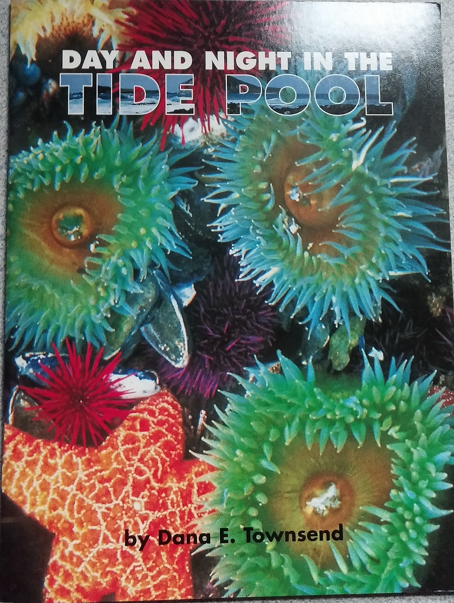 Day and Night in the Tide Pool (Get Real Books)