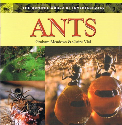 ANTS (Dominie World of Invertebrates)