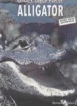 Alligator (Animals Under Threat)