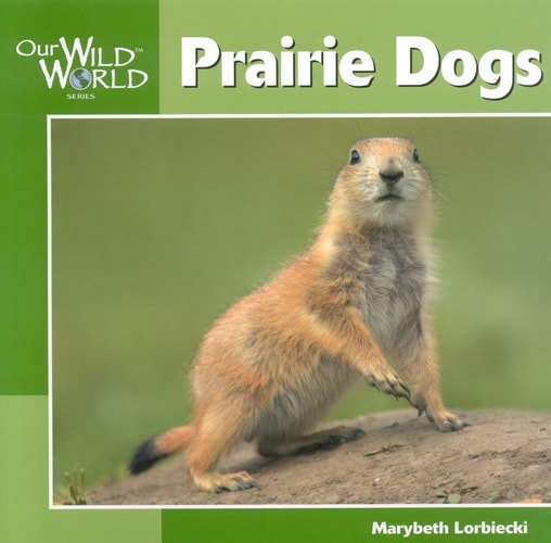 Prairie Dogs (Our Wild World)