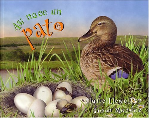 Así naceun pato (Starting Life: Duck)