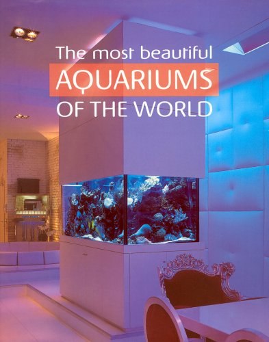 The Most Beautiful Aquariums Of The World