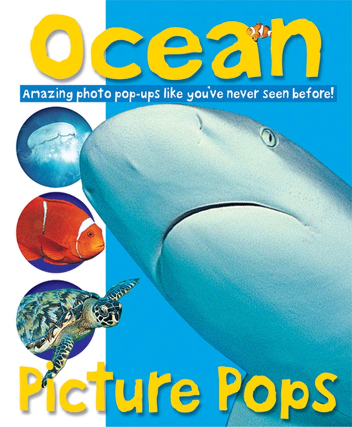 Picture Pops Ocean: Amazing Photo Pop-Ups Like You've Never Seen Before