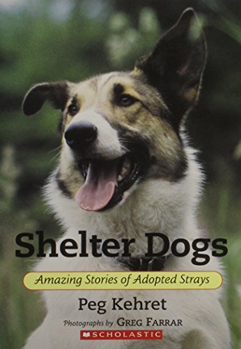 Shelter Dogs: Amazing Stories of Adopted Strays