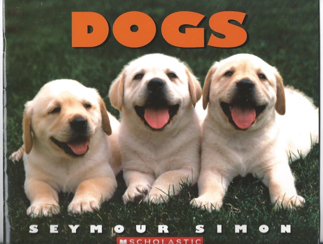Dogs