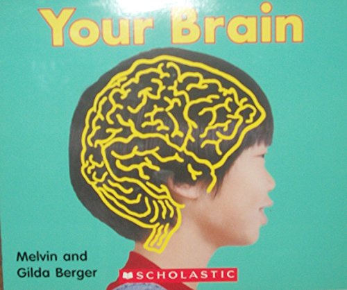 Your Brain