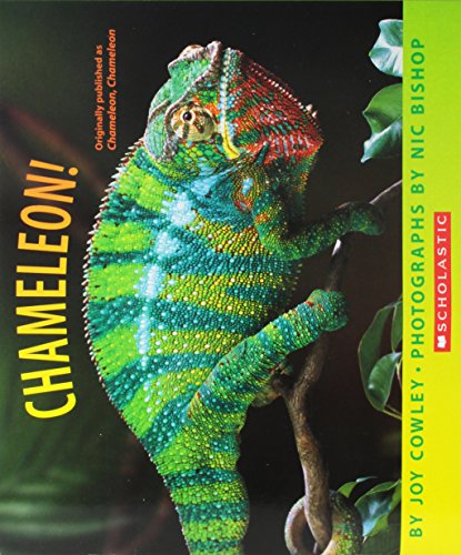 Chameleon, Chameleon