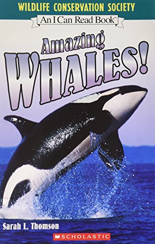 AMAZING WHALES