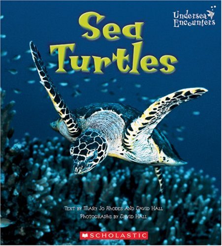 Sea Turtles (UNDERSEA ENCOUNTERS)
