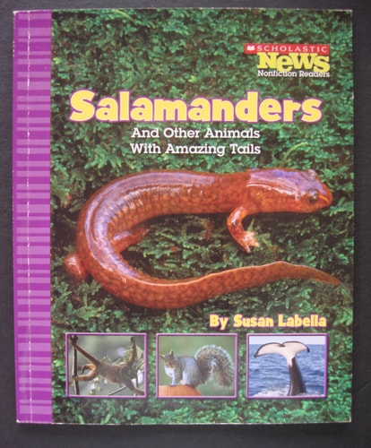 Salamanders and Other Animals With Amazing Tails (Scholastic News: Nonfiction Readers)