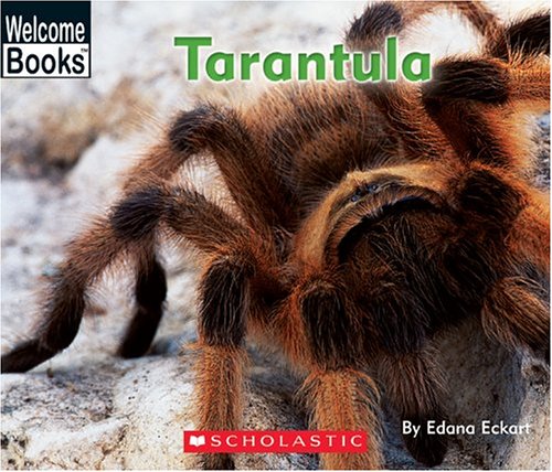 Tarantula (Animals of the World)