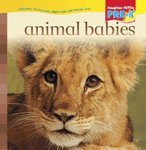 Houghton Mifflin Pre-K: Big Book Theme 5.3 Grade Pre K Animal Babies