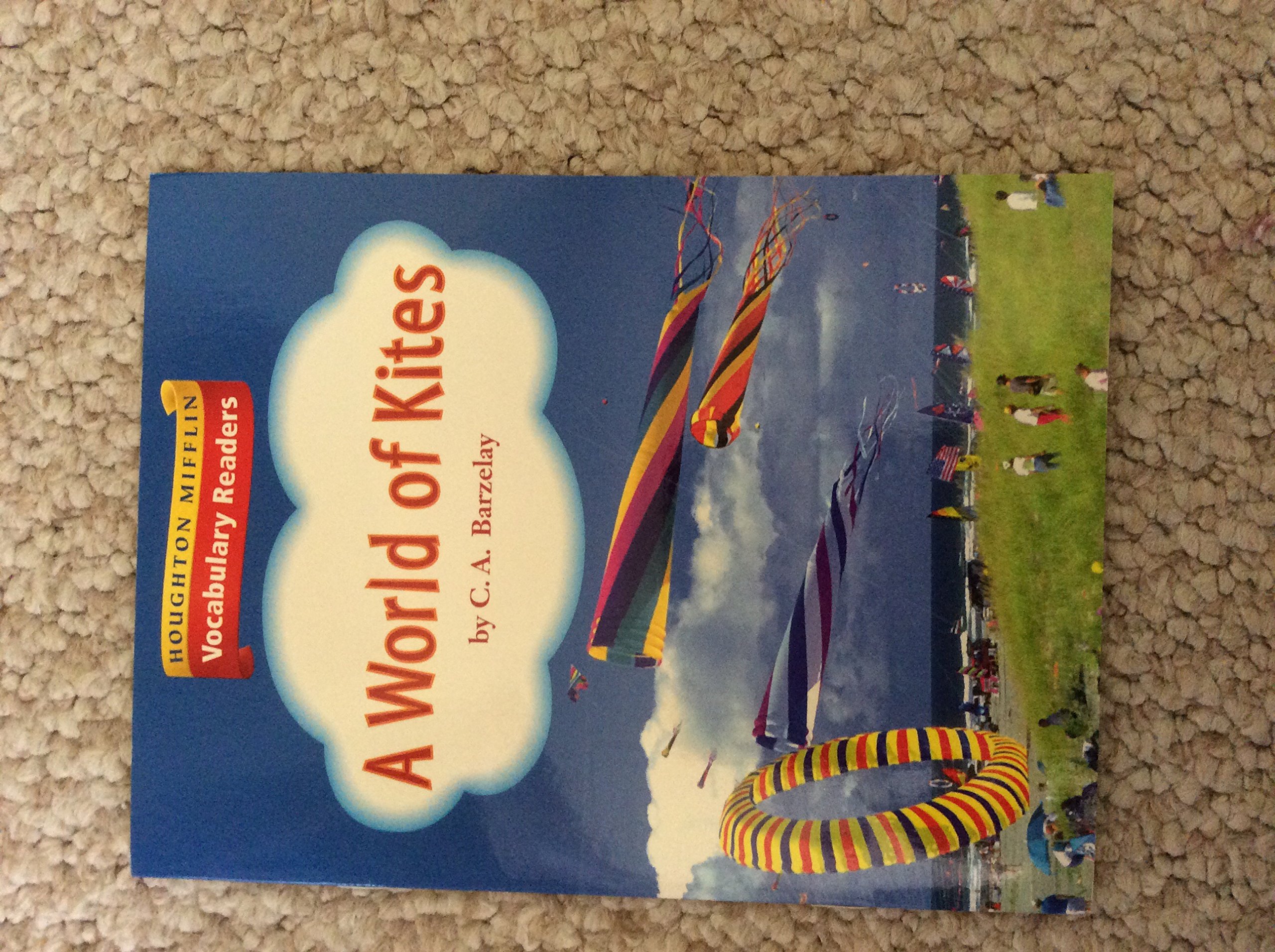 A World Of Kites: Theme 4.3 Level 4 (Houghton Mifflin Vocabulary Readers)