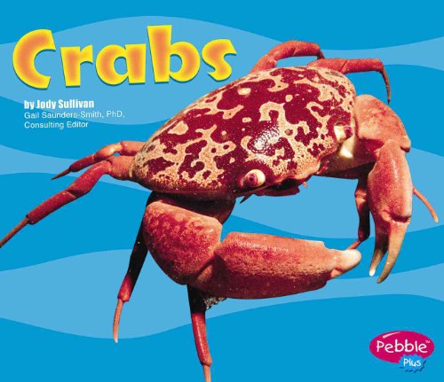 Crabs (Under the Sea)