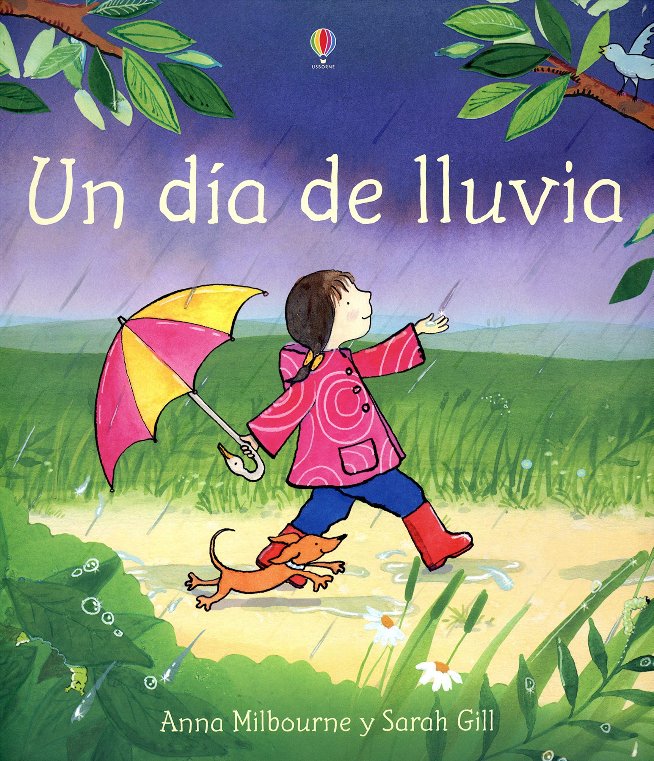 Un Dia De Lluvia/A Rainy Day (Spanish Edition)