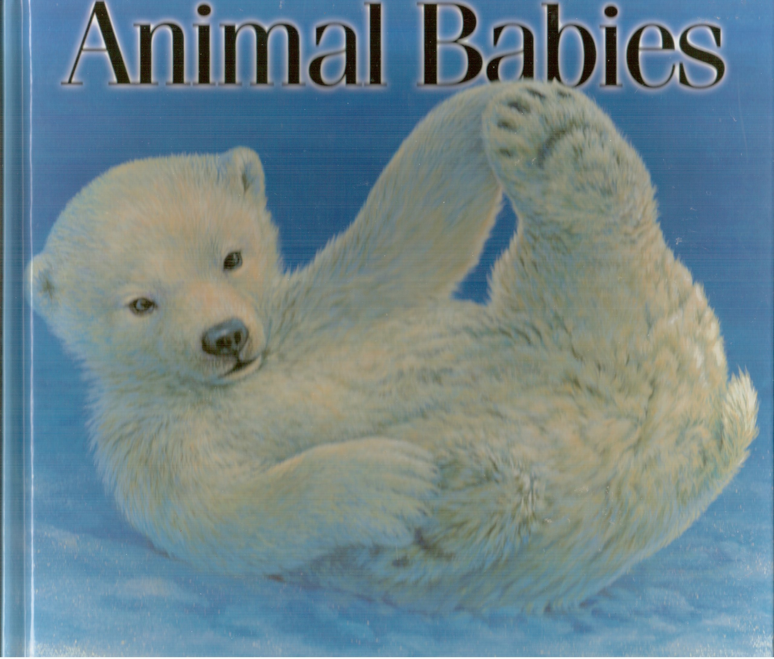 Animal Babies