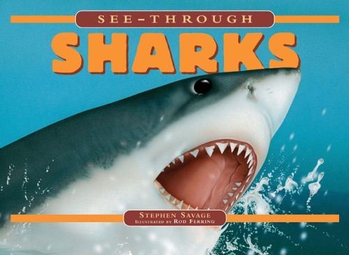 See-Through Sharks