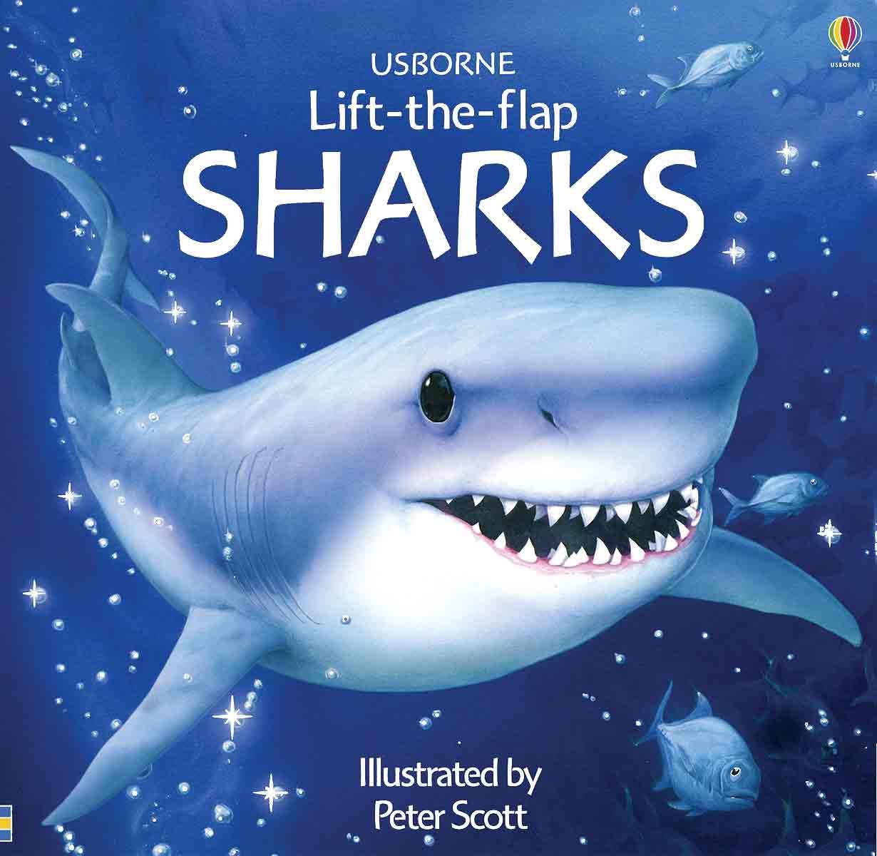 Sharks (Usborne Lift-the-Flap Learners)
