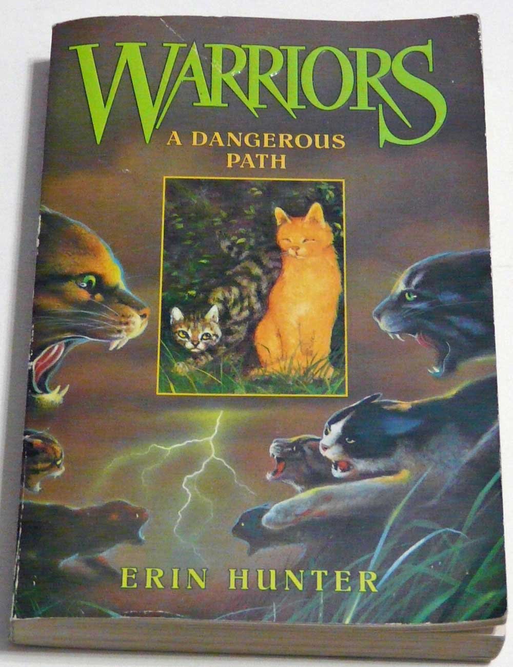 A Dangerous Path (Warriors #5)