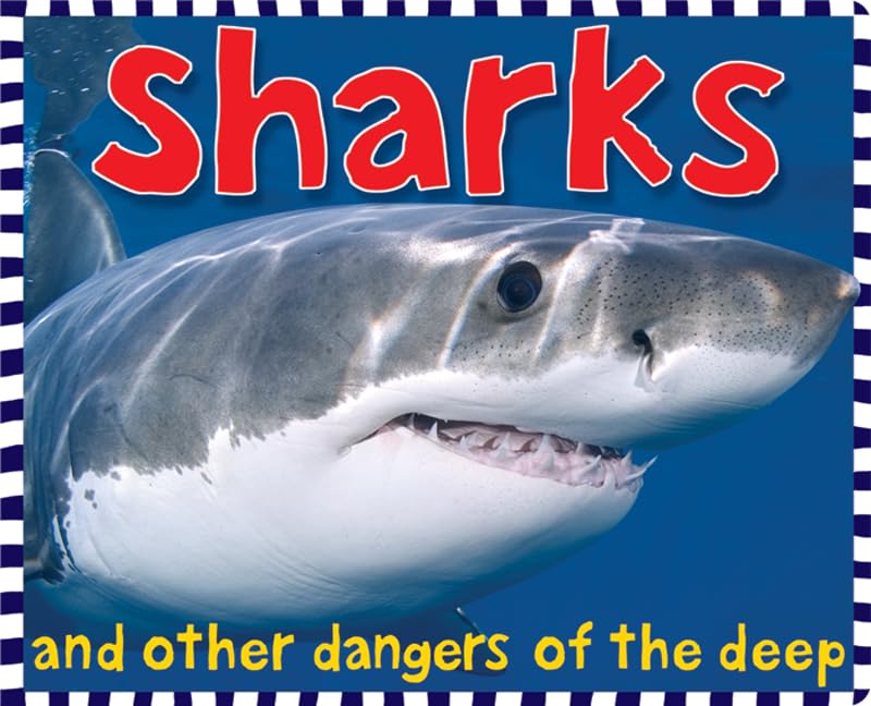 Sharks (Smart Kids)