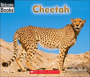 Cheetah (Welcome Books)