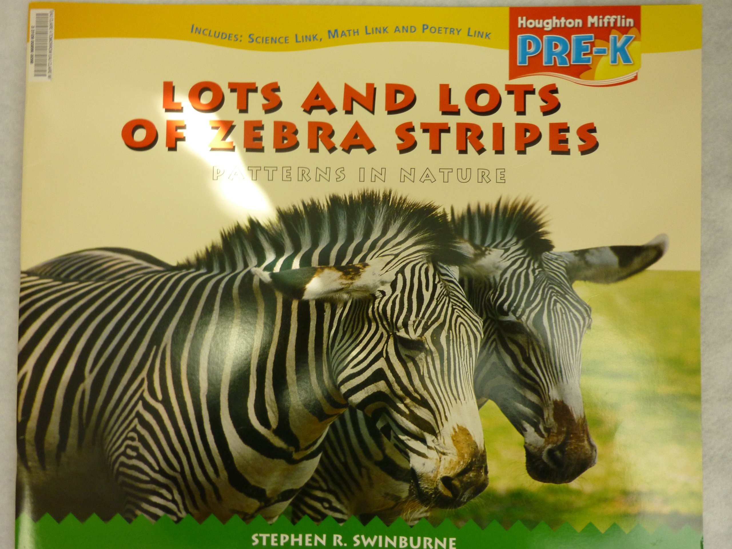 Houghton Mifflin Pre-K: Big Book Theme 3.3 Grade Pre K Lots and Lots of Zebra Stripes