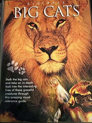 Discover Big Cats