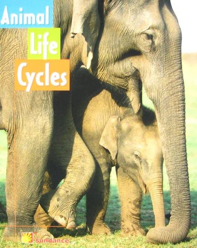 Animal Life Cycles (Reading Powerworks Science)