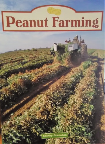 Peanut Farming