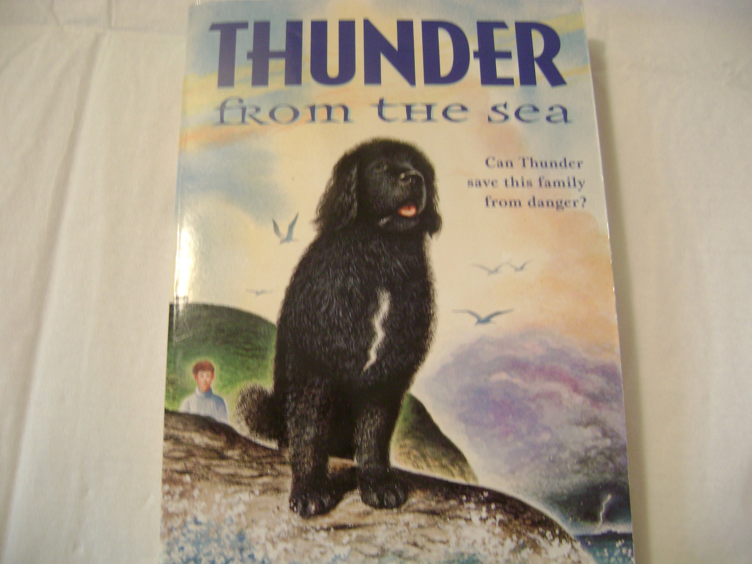 Thunder from the Sea