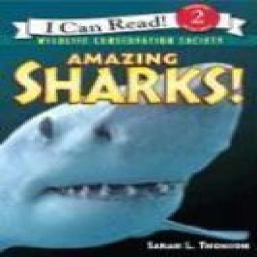 Amazing Sharks Reprint Edition Paperback