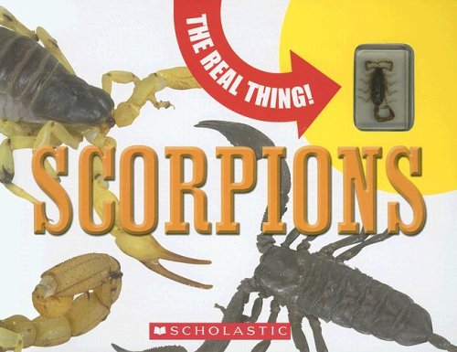 Scorpions (The Real Thing)