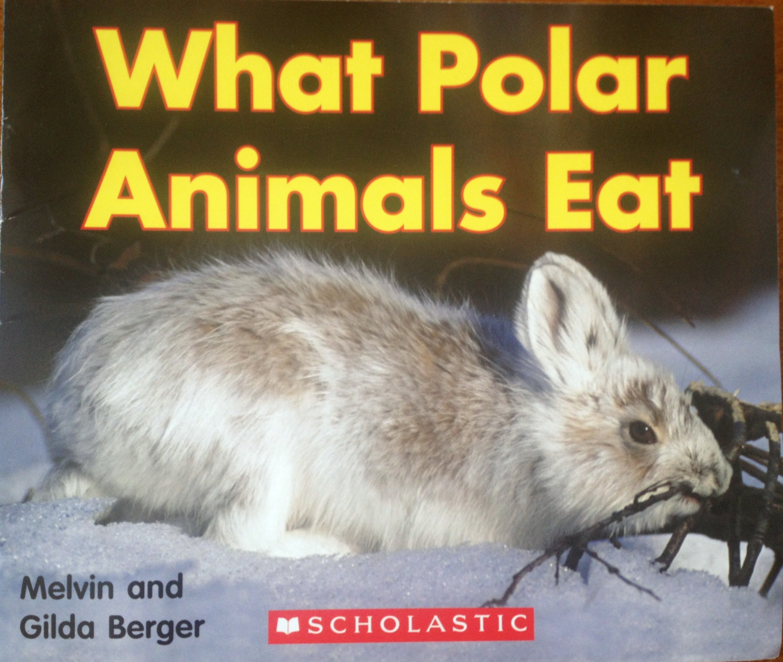 What Polar Animals Eat