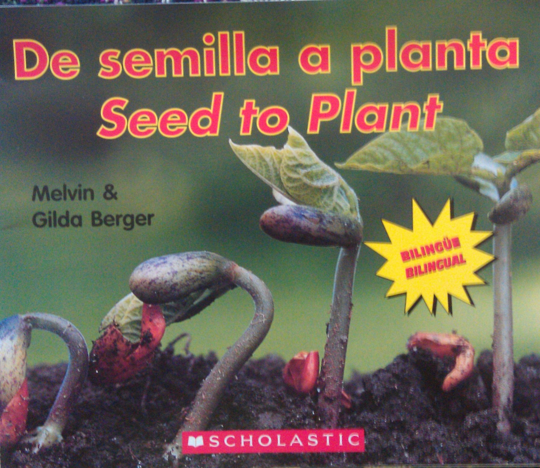 De semilla a planta: Seed to Plant