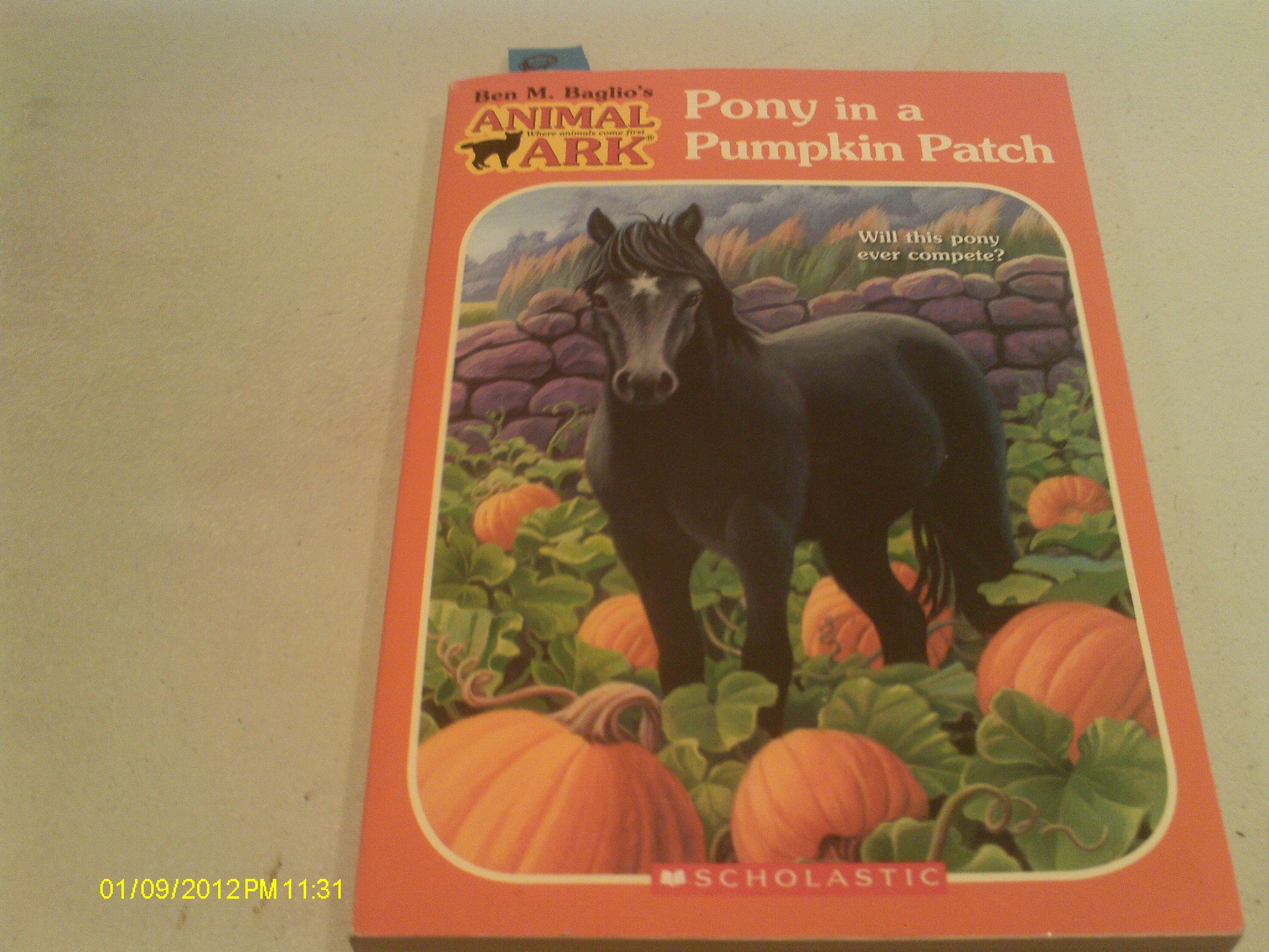 Pony in a Pumpkin Patch (Animal Ark Holiday Treasury #12-Halloween) (Animal Ark Series #49)