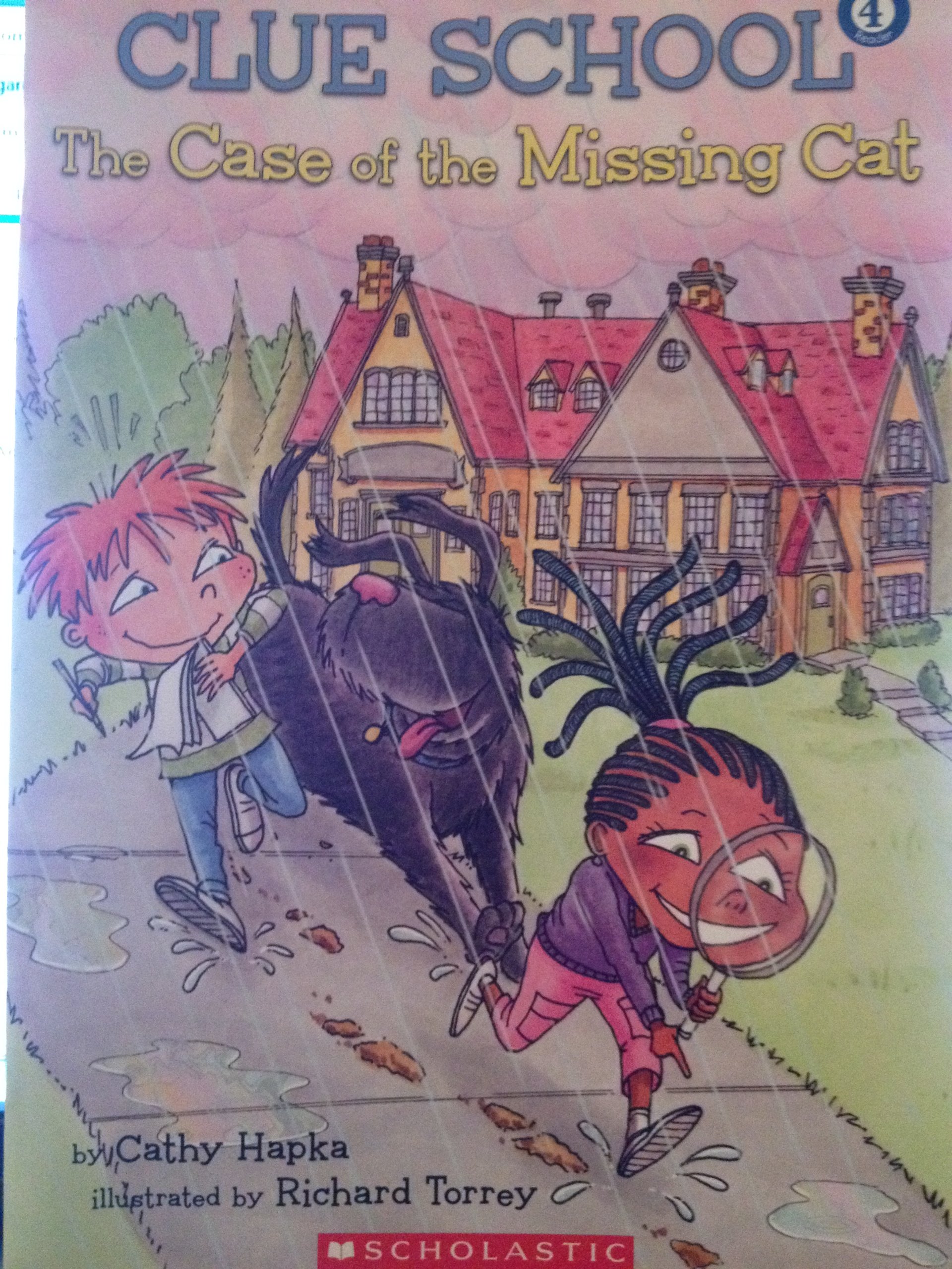 Clue School The Case of the Missing Cat
