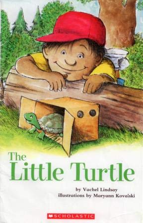 The Little Turtle