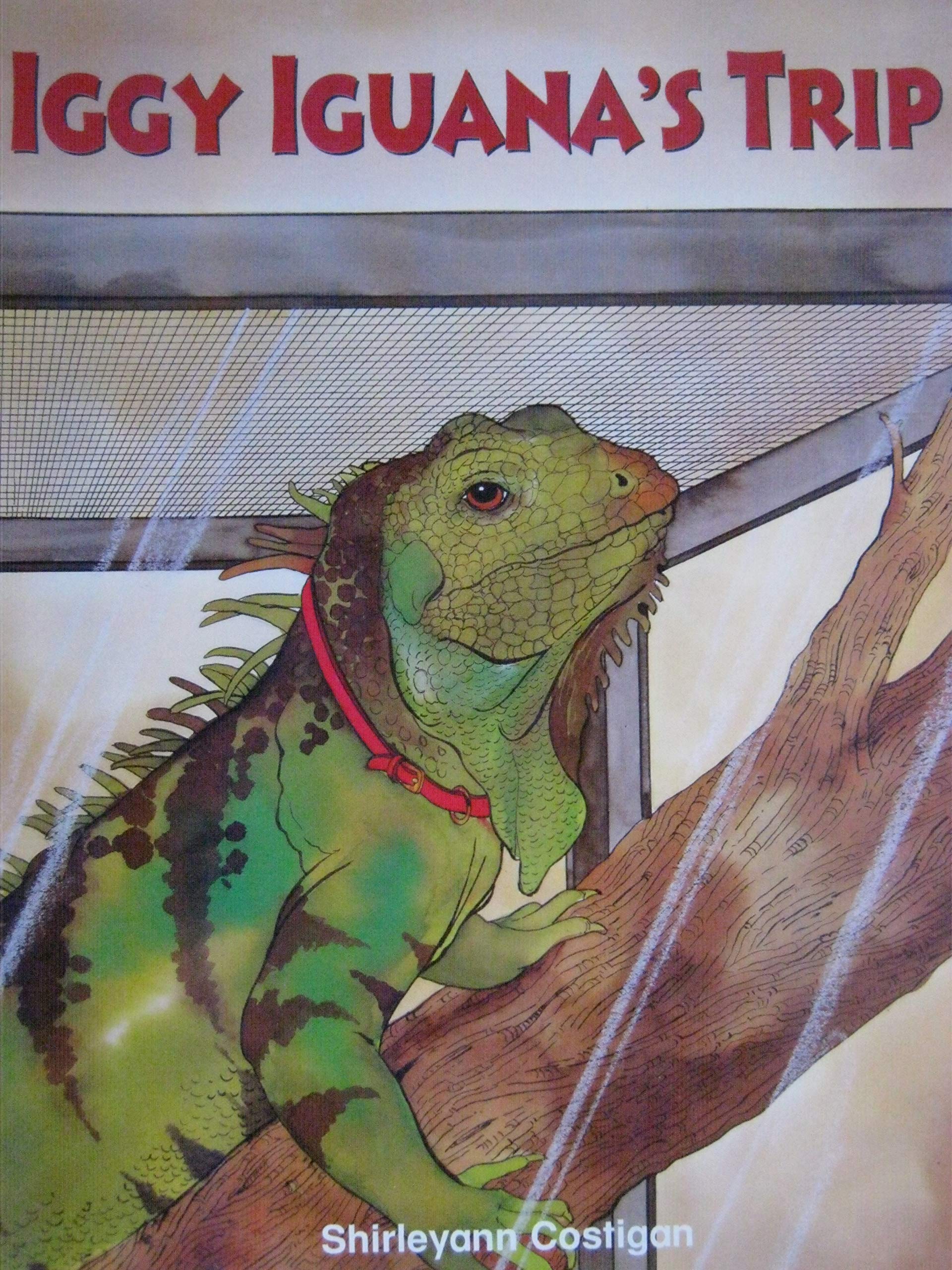 Iggy Iguana's Trip Big Book [Phonics and Friends Level A Phonics Storybook 24]