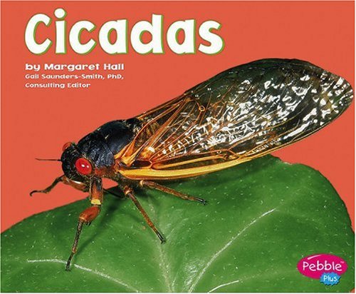 Cicadas (Bugs, Bugs, Bugs!)