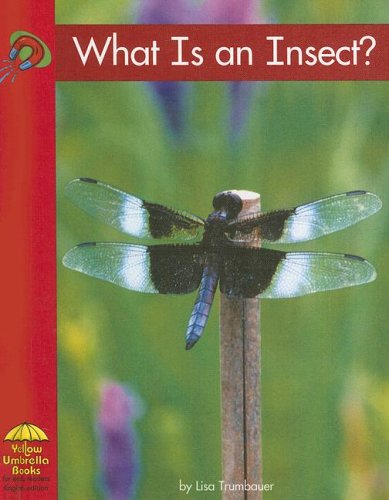 What Is an Insect? (Science)