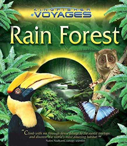 Rain Forest