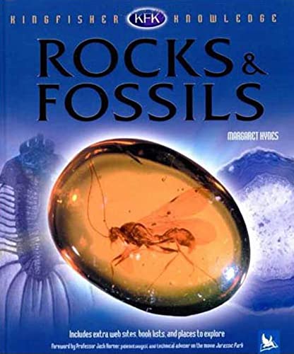 Kingfisher Knowledge: Rocks and Fossils