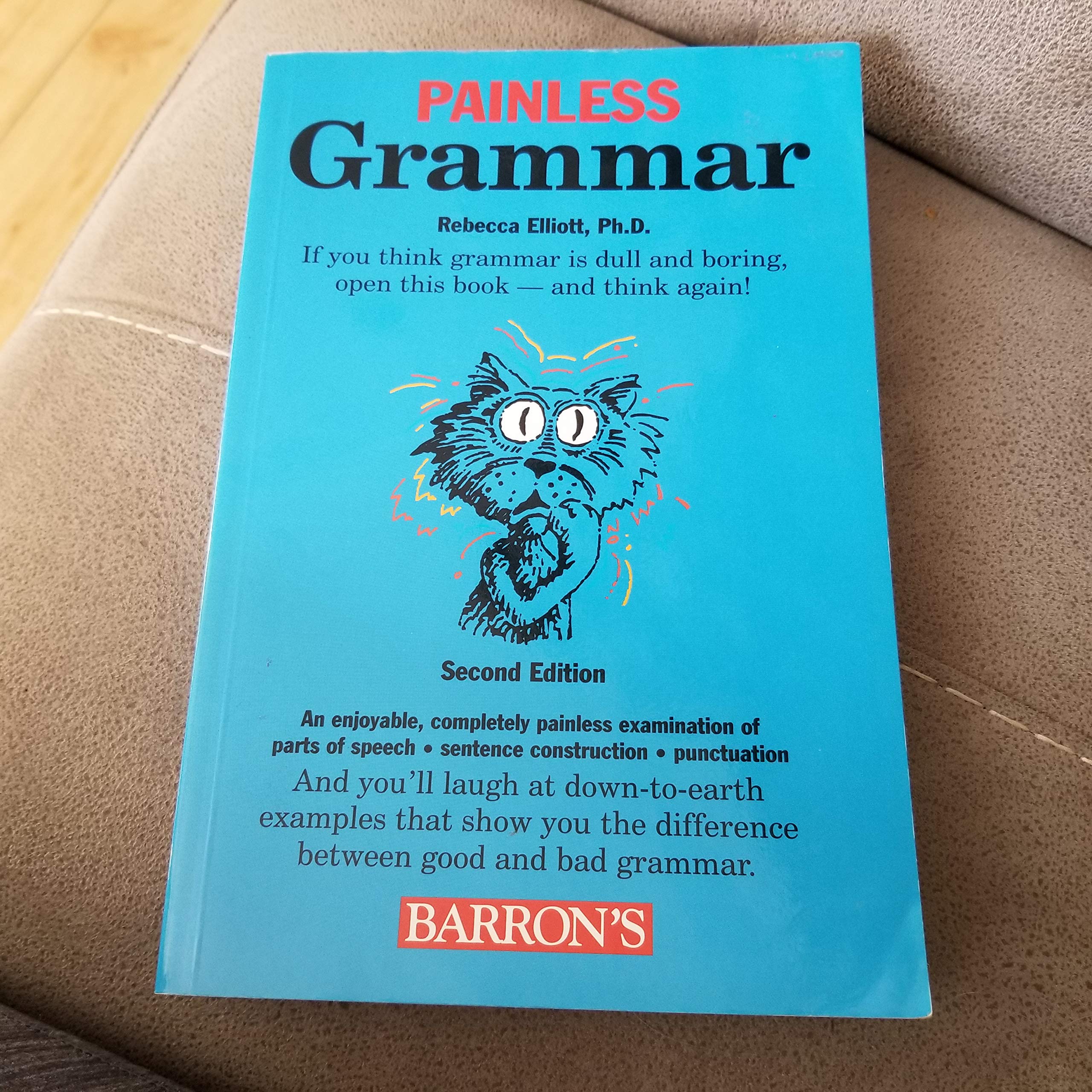 Painless Grammar (Painless Series)