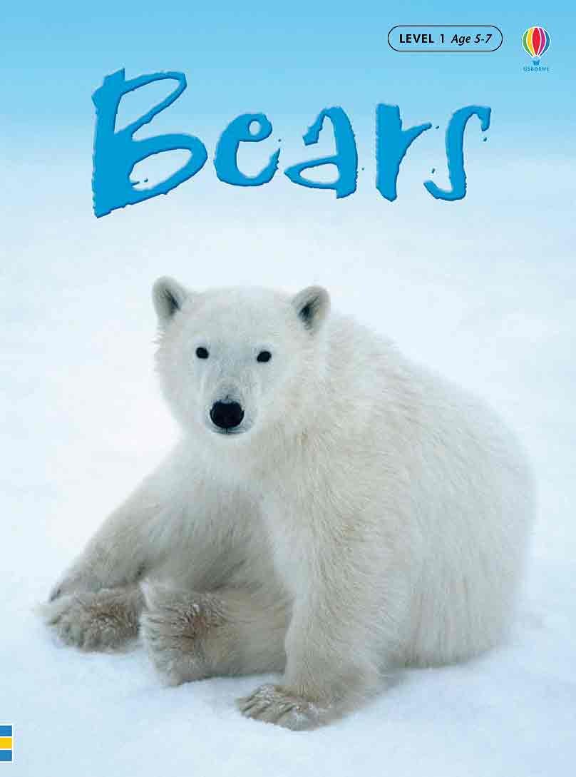 Bears (Beginners Nature - New Format)