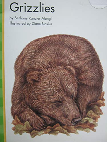 Phonics Plus Level B Grizzlies