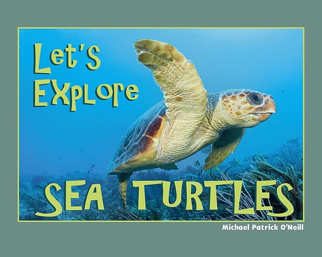 Let's Explore Sea Turtles