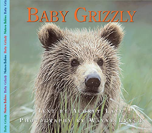 Baby Grizzly (Nature Babies)