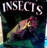 Insects