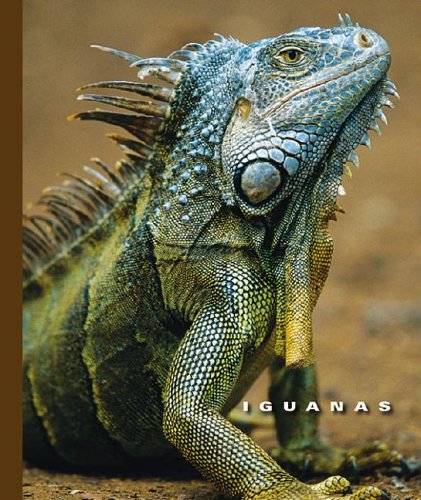 Iguanas (The World of Reptiles)