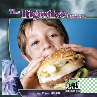 Digestive System (Human Body)